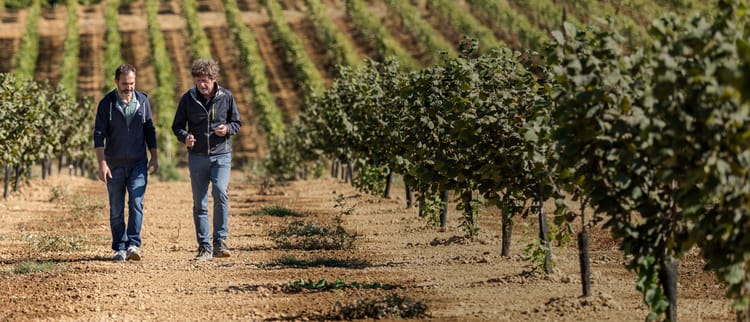 Знання культури