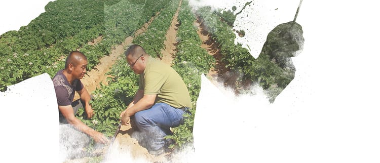 Від ідеї до втілення в життя