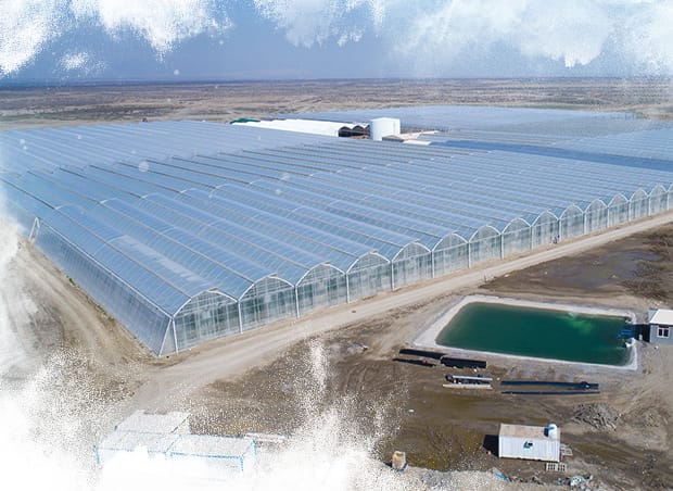 ТЕПЛИЧНІ ПРОЄКТИ