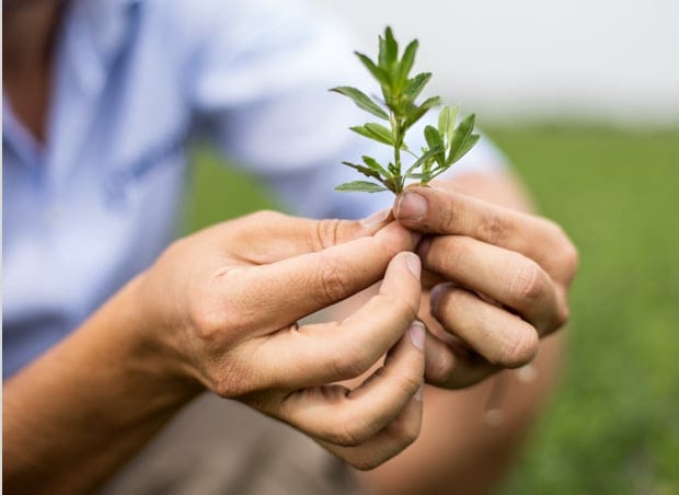 Продовольча безпека