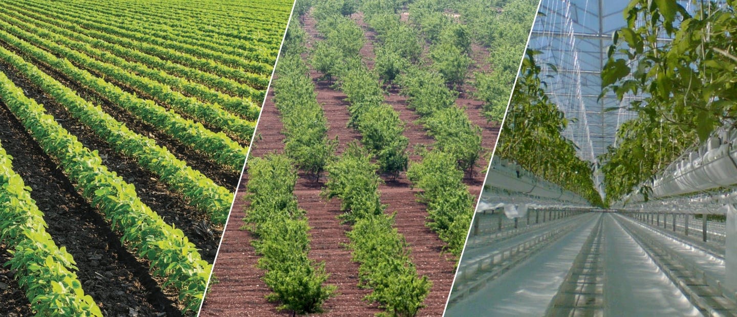 Рішення для точного зрошення