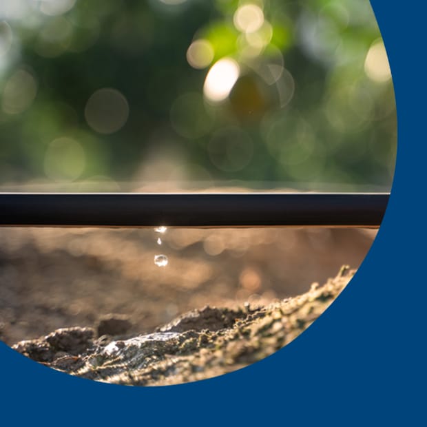 ЗНИЖУЄ РІВЕНЬ ВИПАРОВУВАННЯ