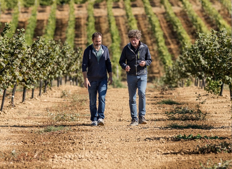 two farmers walking in a vineyard